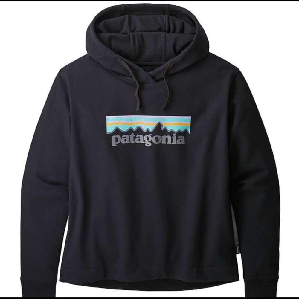 Patagonia Hoody